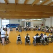Mio figlio ha una quattro ruote